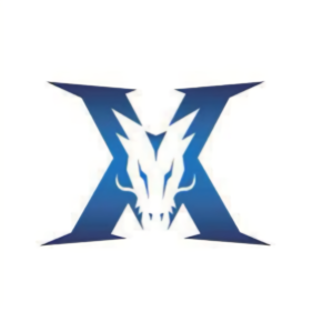 重要因素 重要因素