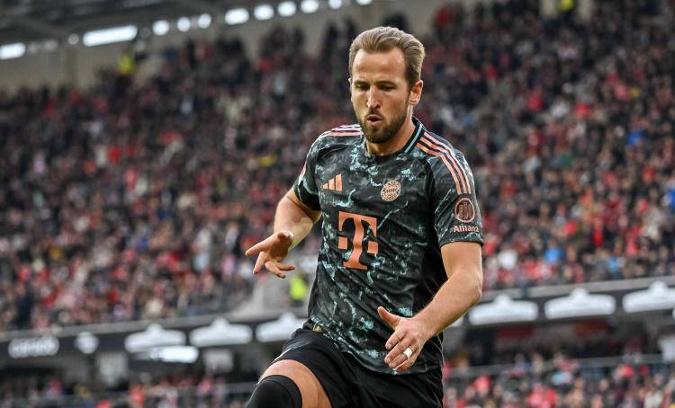 看到了他们 看到了他们